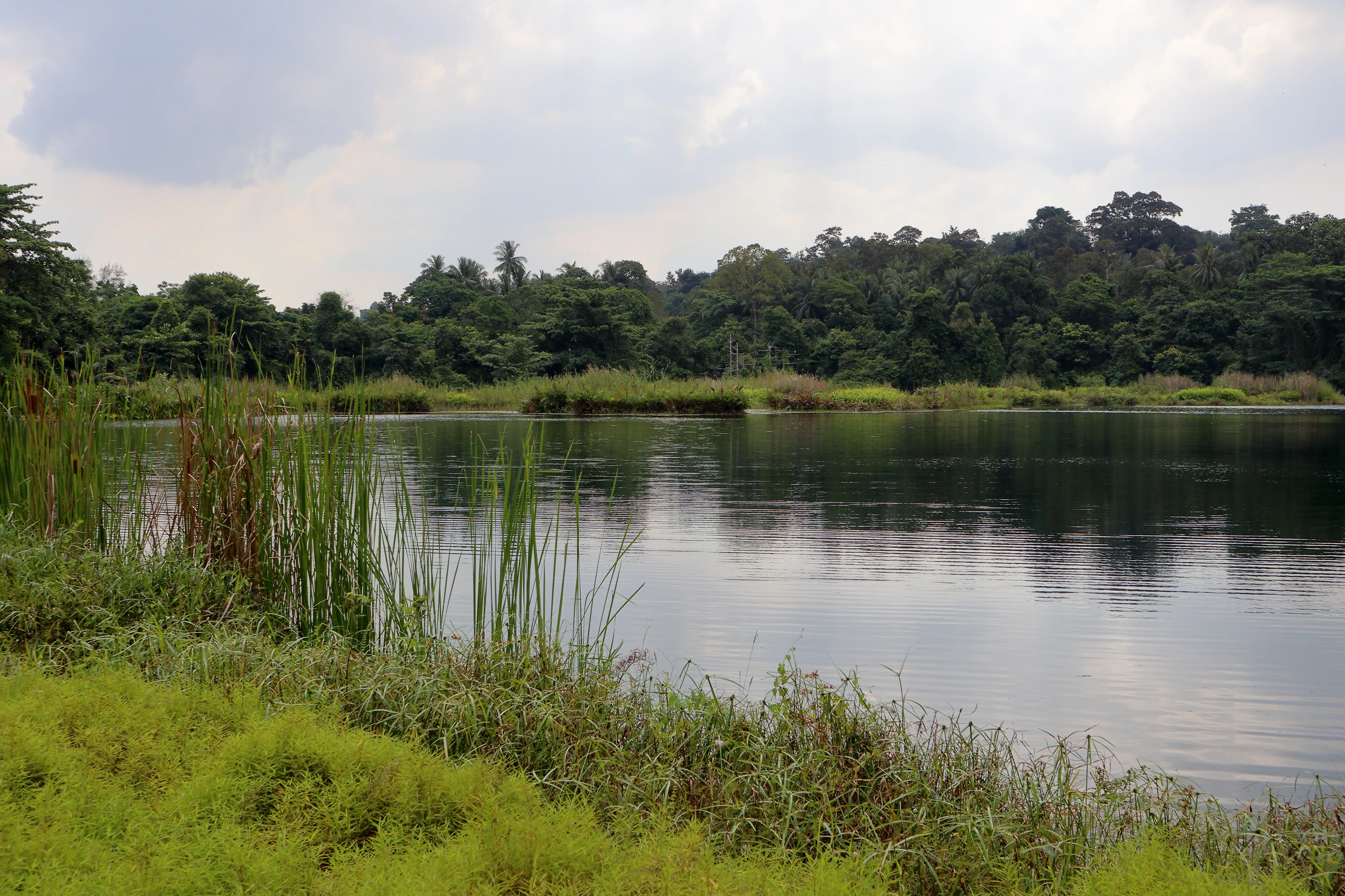 pekan-quarry.jpg