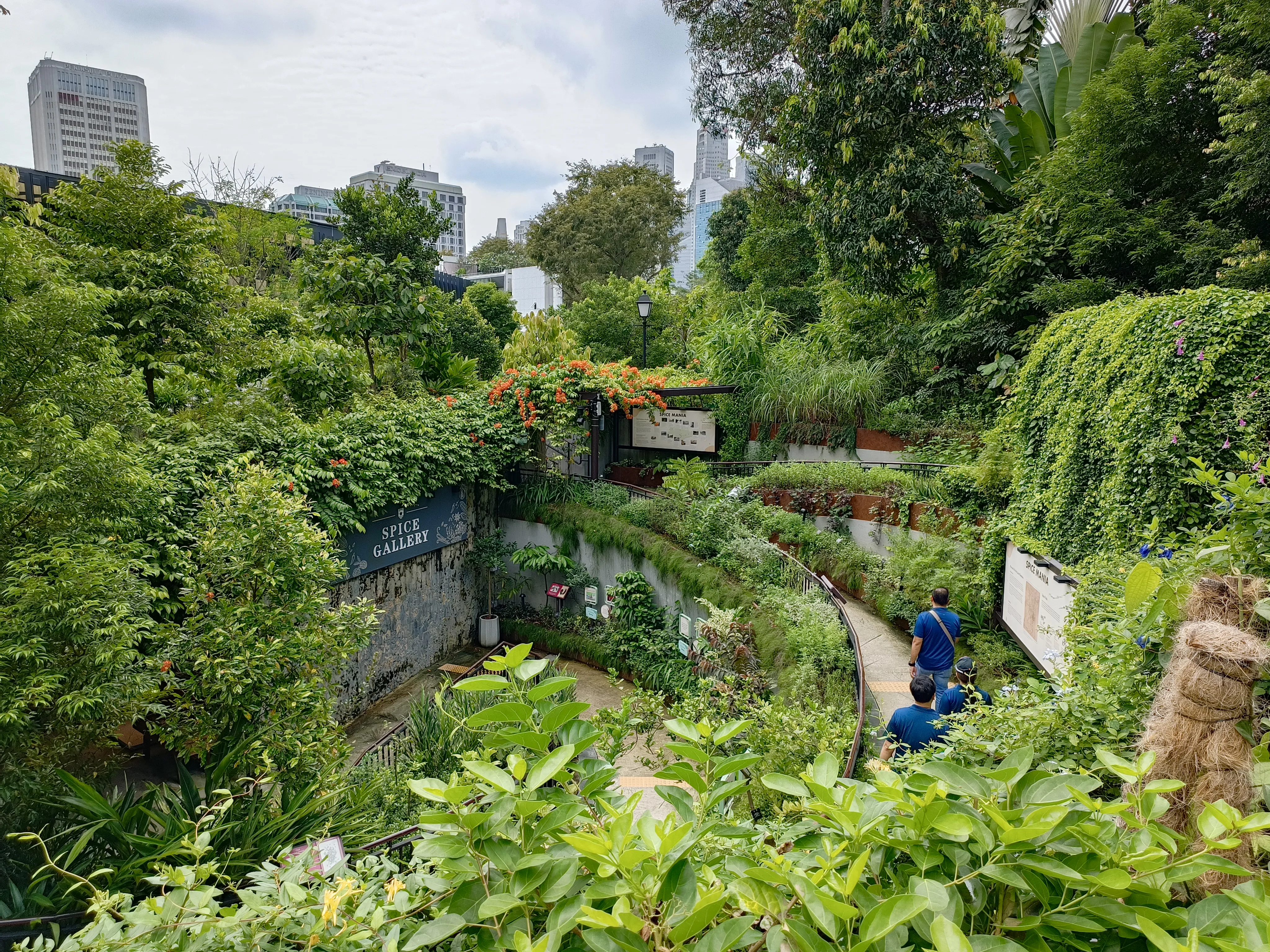 spice-garden-2.jpg