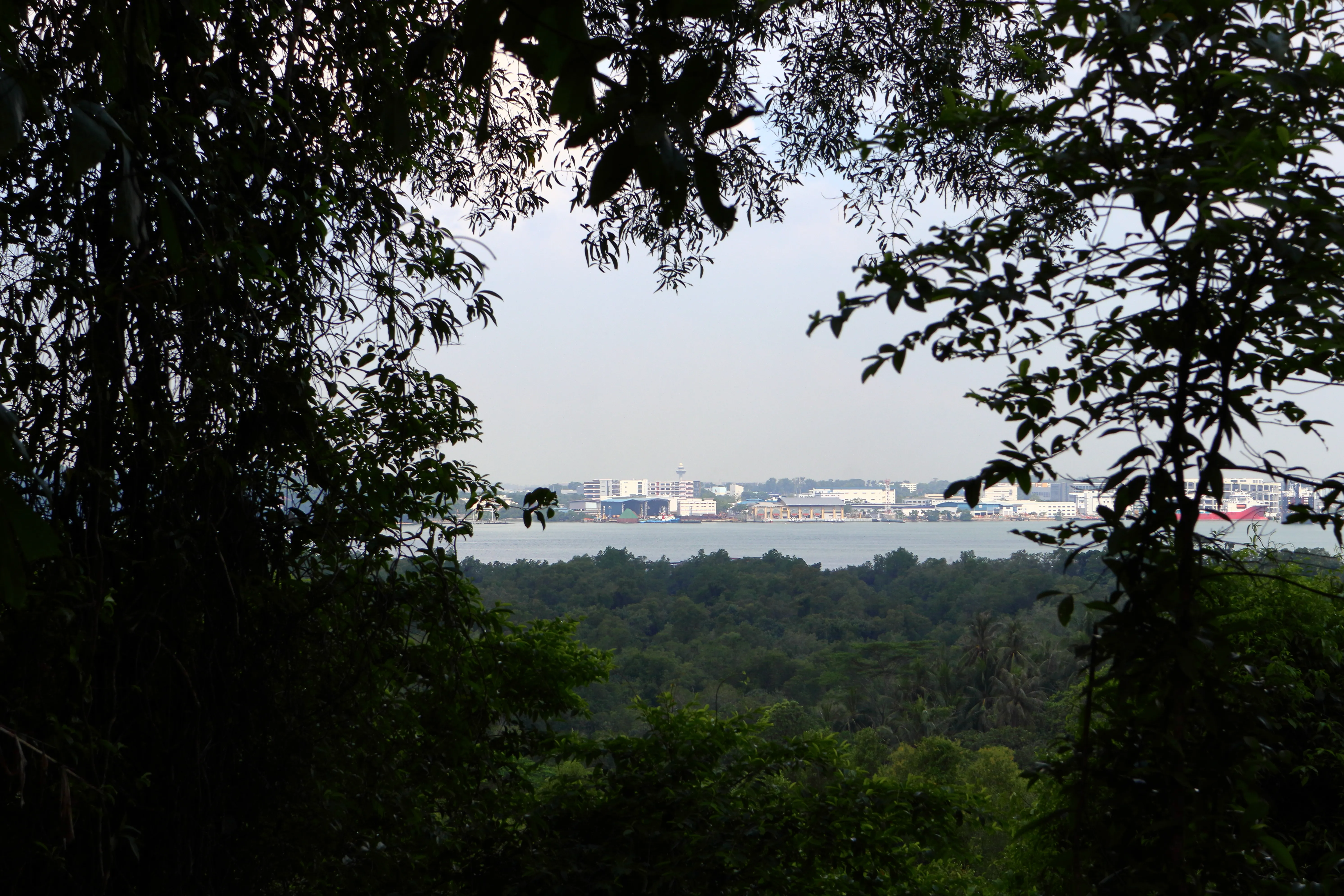 ubin-quarry-1.jpg